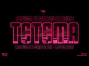 Instrumental: Rayvanny - Tetema